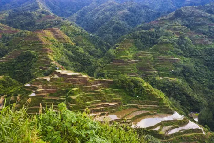 Framed Print : The Rice Terraces of the Philippine Cordilleras, UNESCO World Heritage site, Banaue