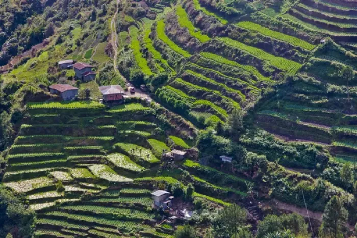 Framed Print : The Rice Terraces of the Philippine Cordilleras, UNESCO World Heritage site, Banaue