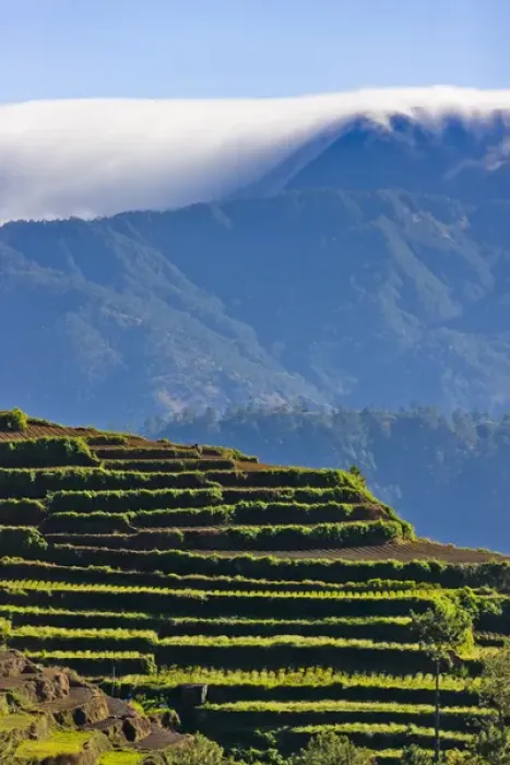 Framed Print : The Rice Terraces of the Philippine Cordilleras, UNESCO World Heritage site, Banaue Framed Print : The Rice Terraces of the Philippine Cordilleras, UNESCO World Heritage site, Banaue