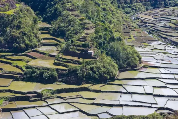 Framed Print : The Rice Terraces of the Philippine Cordilleras, UNESCO World Heritage site, Banaue Framed Print : The Rice Terraces of the Philippine Cordilleras, UNESCO World Heritage site, Banaue