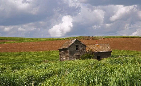 A ride through the farm country of Palouse west of Colfax in Washington state