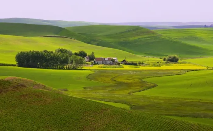 Framed Print : A ride through the farm country of Palouse west of Colfax in Washington state