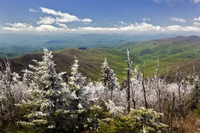 Framed Print : Rim Ice on trees, Great Smoky Mountains National Park, Tennessee