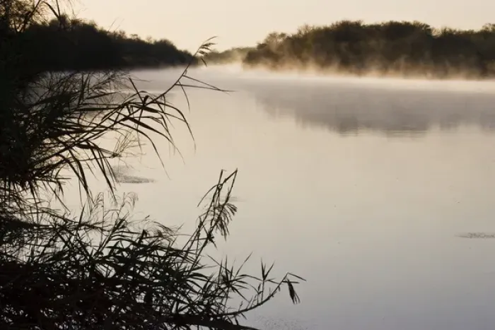 Framed Print : Rio Grande with fog rising, international boundary between Mexico  /  Texas at sunrise