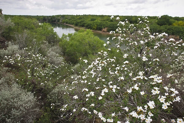 Rio Grande, south Texas