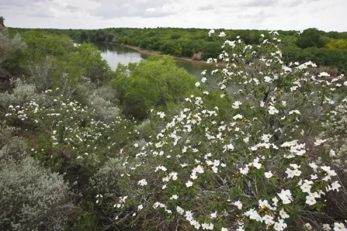 Framed Print : Rio Grande, south Texas Framed Print : Rio Grande, south Texas