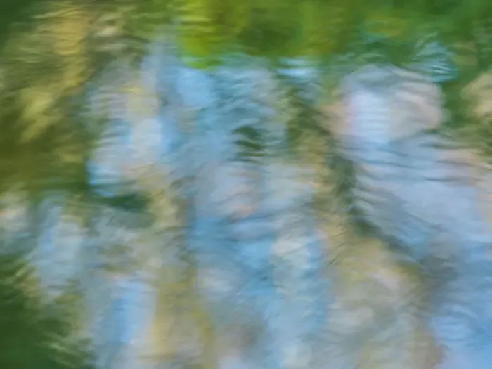Framed Print : Rippled reflection in pond