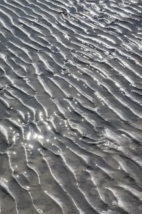 Framed Print : Ripples in the sand, Beach at Honeymoon Island State Park, Dunedin, Florida, USA