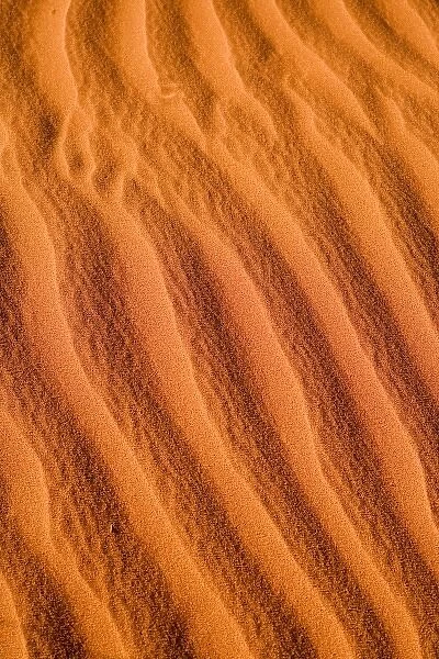 Ripples in Sand Dunes, Uluru - Kata Tjuta National Park, World Heritage Area, Northern Territory