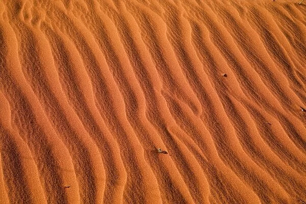 Ripples in Sand Dunes, Uluru - Kata Tjuta National Park, World Heritage Area, Northern Territory