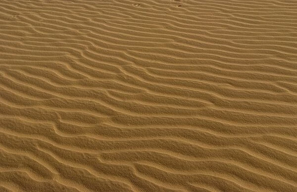 Ripples in sand in Sahara Desert with sand everywhere near Tozeur in Tunisia Africa