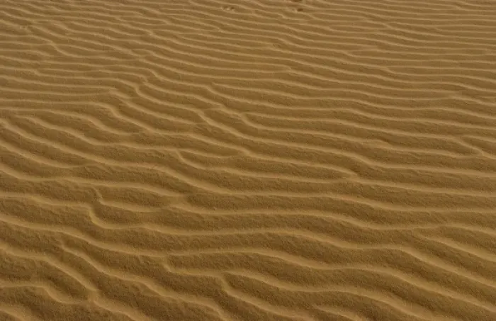 Framed Print : Ripples in sand in Sahara Desert with sand everywhere near Tozeur in Tunisia Africa Framed Print : Ripples in sand in Sahara Desert with sand everywhere near Tozeur in Tunisia Africa