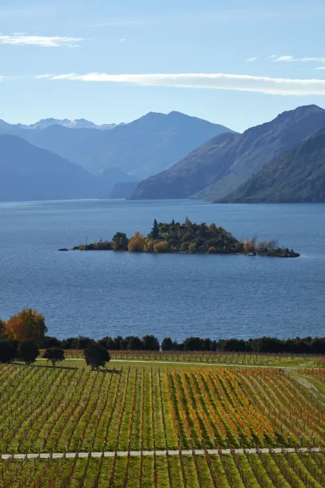 Framed Print : Rippon Vineyard and Lake Wanaka, Otago, South Island, New Zealand Framed Print : Rippon Vineyard and Lake Wanaka, Otago, South Island, New Zealand