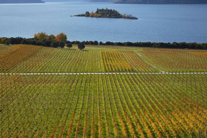 Framed Print : Rippon Vineyard and Lake Wanaka, Otago, South Island, New Zealand