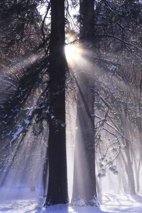 Framed Print : Rising sun, radiating and diffracting, Yosemite Valley, Yosemite National Park, Sierra Nevada Framed Print : Rising sun, radiating and diffracting, Yosemite Valley, Yosemite National Park, Sierra Nevada