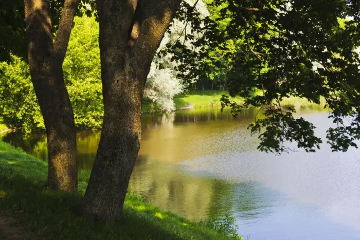 Framed Print : River bank along the Neman River. Nesvizh, Minsk Province, Belarus