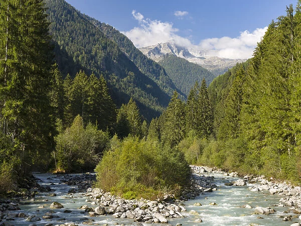 River Sarca. Val di Genova in the Parco Naturale Adamello, Brenta, Trentino, Italy