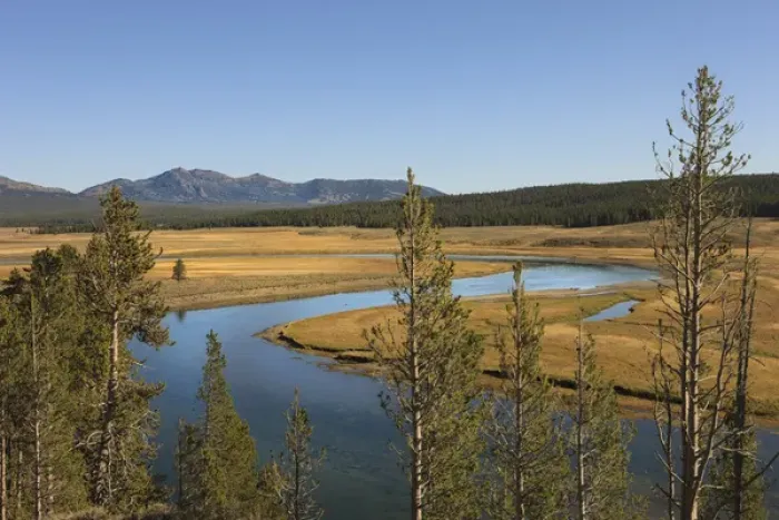 Framed Print : River snaking through the meadows. Yellowstone National Park, Wyoming, US