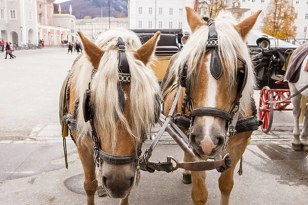 RM. Cityscape. Horse carriage. Salzburg. Austria