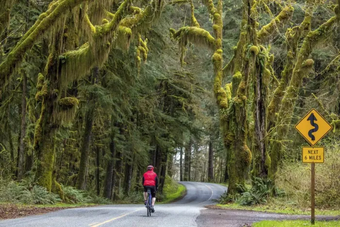 Framed Print : Road bicycling on the Hoh Road in Olympic National Forest, Washington State, USA (MR)