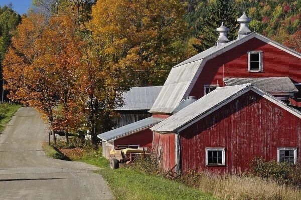 Road beside classic rural barn  /  farm in autumn, New Hampshire