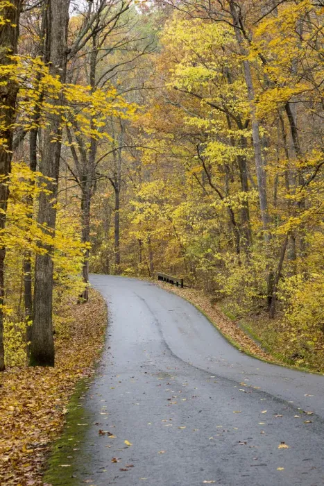 Framed Print : Road in fall Color Giant City State Park IL