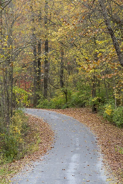 Road in fall color Giant City State Park, Illinois