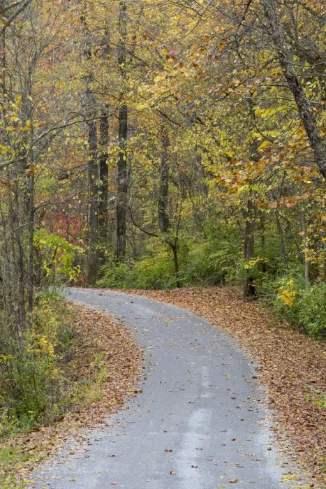 Framed Print : Road in fall color Giant City State Park, Illinois