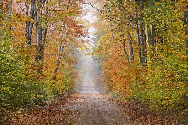 Road in fall color Schoolcraft County Upper Peninsula Michigan