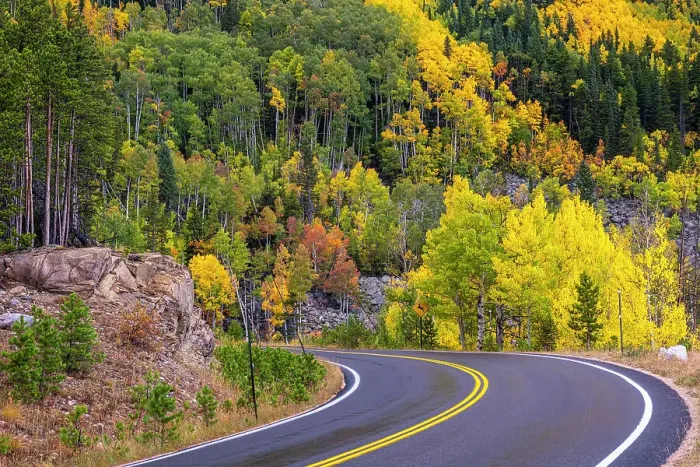 Framed Print : Road, fall colors. Colorado Framed Print : Road, fall colors. Colorado