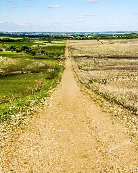 Road in the Flint Hills, dividing two colors of grass