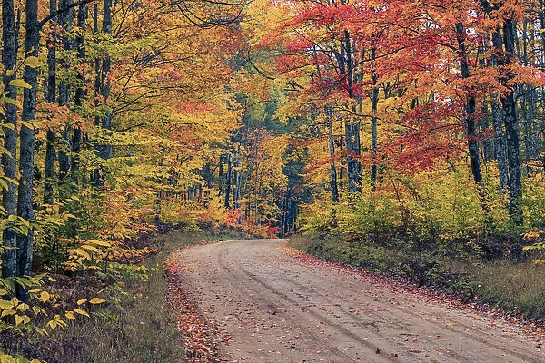 Road through Hiawatha National Forest and fall colors, Upper Peninsula of Michigan