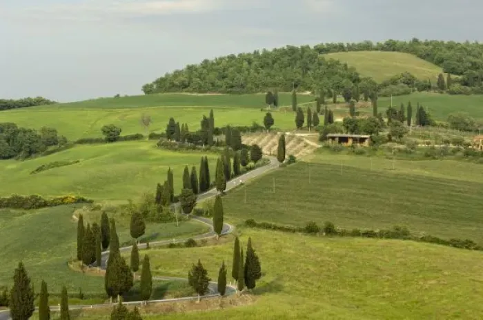 Framed Print : Road from Pienza to Montepulciano, Monticchiello, Val d Orcia, Siena province, Tuscany, Italy Framed Print : Road from Pienza to Montepulciano, Monticchiello, Val d Orcia, Siena province, Tuscany, Italy