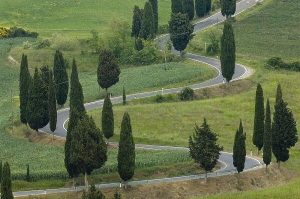 Road from Pienza to Montepulciano, Monticchiello, Val d Orcia, Siena province, Tuscany, Italy