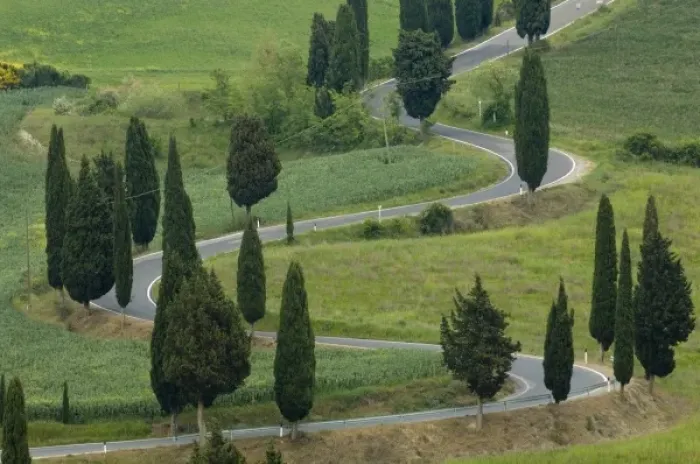 Framed Print : Road from Pienza to Montepulciano, Monticchiello, Val d Orcia, Siena province, Tuscany, Italy