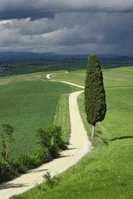Framed Print : Road winding through agricultural region of Tuscany with storm clouds, Italy Framed Print : Road winding through agricultural region of Tuscany with storm clouds, Italy