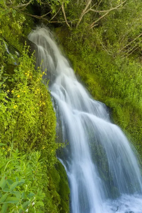 Framed Print : Roadside waterfall near Mt. Hood, Mt. Hood National Forest, Oregon