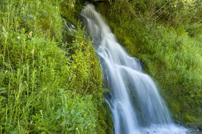 Framed Print : Roadside waterfall near Mt. Hood, Mt. Hood National Forest, Oregon Framed Print : Roadside waterfall near Mt. Hood, Mt. Hood National Forest, Oregon