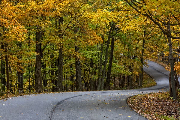 Roadway in autumn in Brown County State Park, Indiana, USA