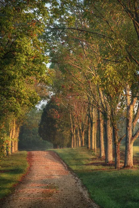 Framed Print : Roadway and fences on horse farm at sunrise, Oldham County, Kentucky Framed Print : Roadway and fences on horse farm at sunrise, Oldham County, Kentucky