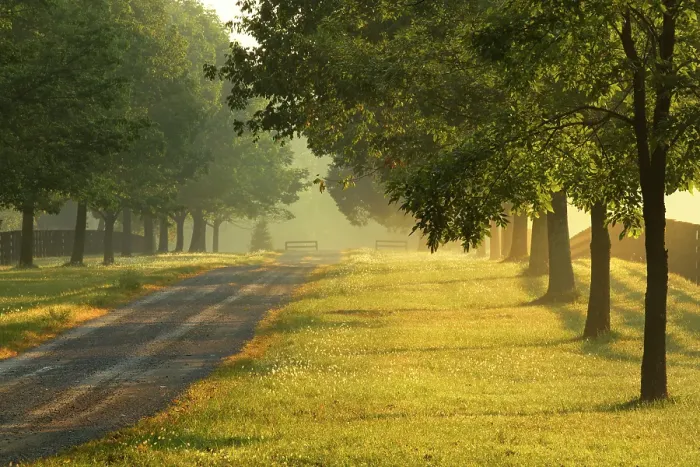 Framed Print : Roadway and fences on horse farm at sunrise on foggy morning, Oldham County, Kentucky Framed Print : Roadway and fences on horse farm at sunrise on foggy morning, Oldham County, Kentucky