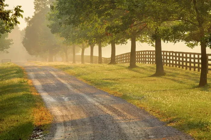 Framed Print : Roadway and fences on horse farm at sunrise on foggy morning, Oldham County, Kentucky Framed Print : Roadway and fences on horse farm at sunrise on foggy morning, Oldham County, Kentucky