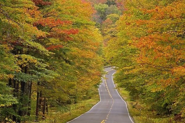 Roadway through White Mountain National Forest in autumn, New Hampshire