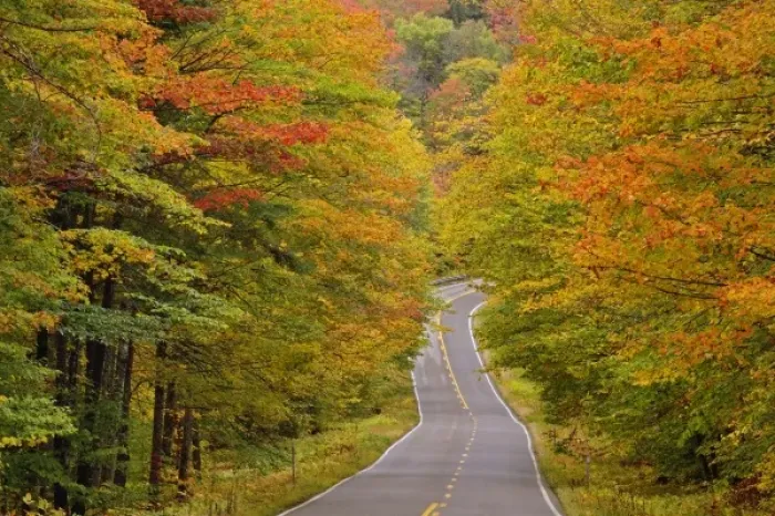 Framed Print : Roadway through White Mountain National Forest in autumn, New Hampshire