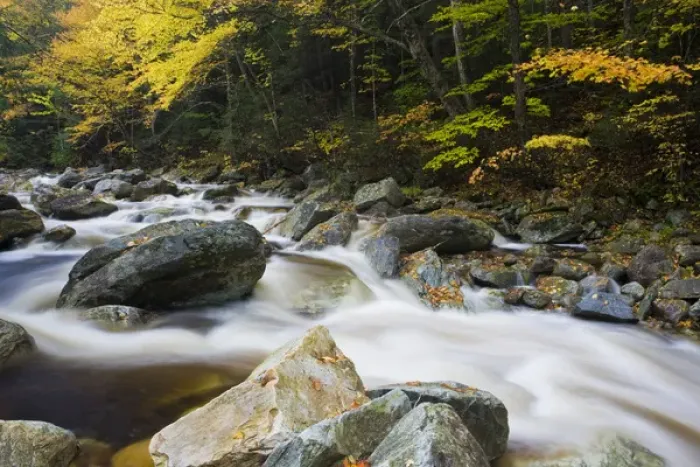 Framed Print : Roaring Brook in fall in Vermonts Green Mountains. Green Mountain National Forest