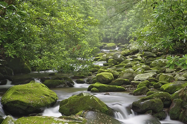 Roaring Fork Creek, Great Smoky Mountains National Park, Tennessee