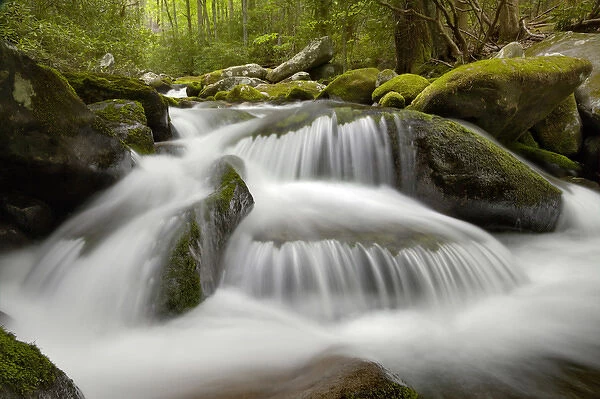Roaring Fork, Roaring Fork Motor Nature Trail, Great Smoky Mountains National Park