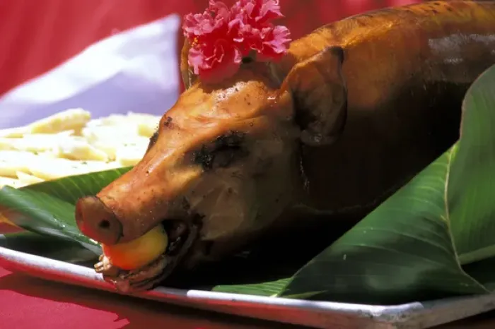 Framed Print : 05. Roast Suckling Pig on platter, Society Islands, French Polynesia Framed Print : 05. Roast Suckling Pig on platter, Society Islands, French Polynesia