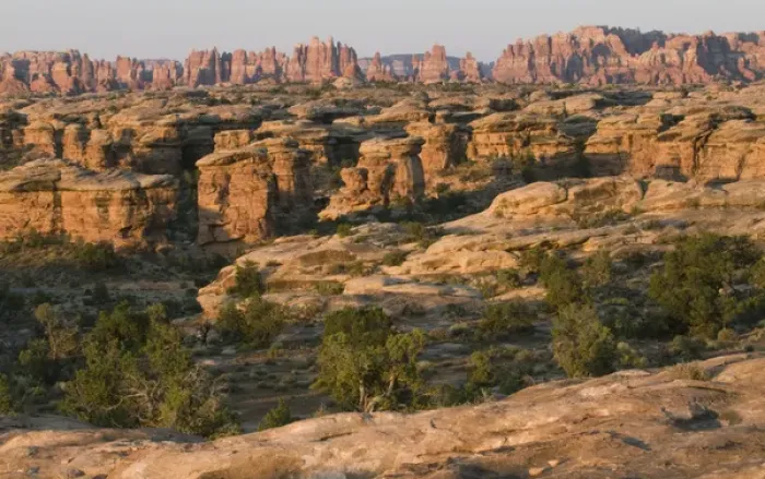 Framed Print : Rock formations in The Needles district, Canyonlands National Park, Utah, USA