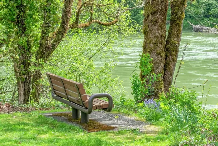 Framed Print : Rockport, Washington State, USA. Bench overlooking Skagit River in Rockport Steelhead Park